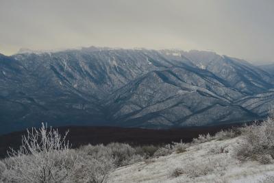 Прикрепленное изображение: IMG_1539+.jpg